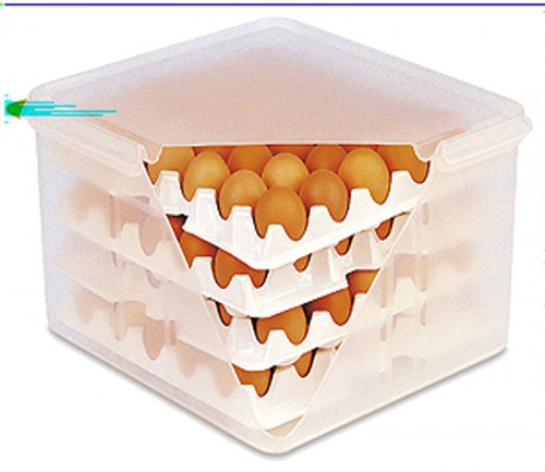 Egg Carrier