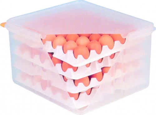 PP - Eggs Container